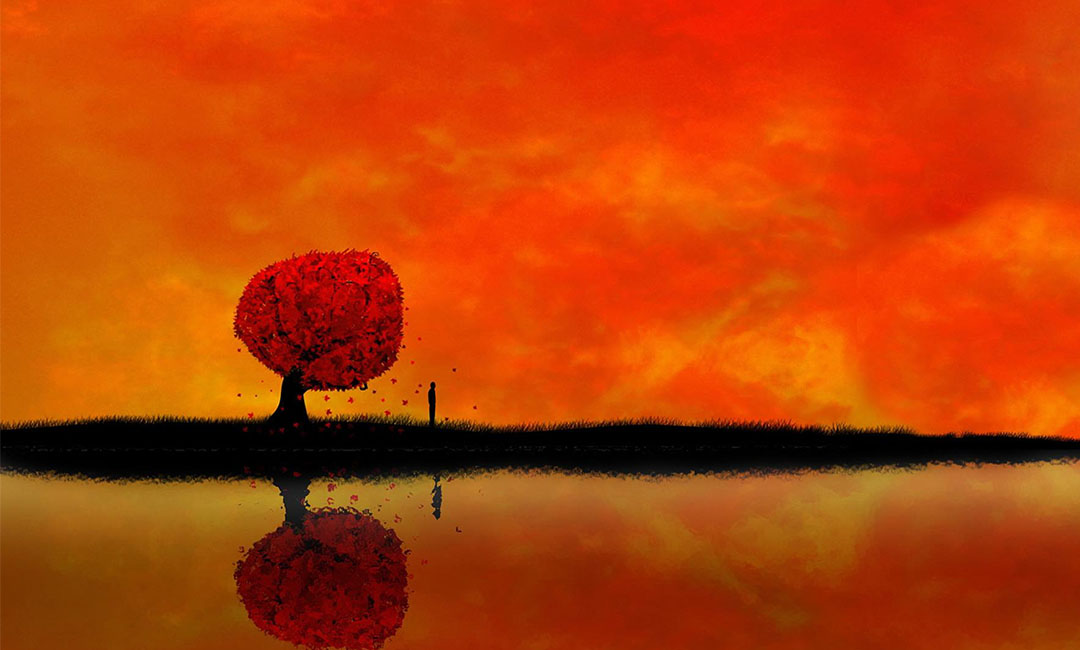 塔城笙影微信朋友圈转发案例